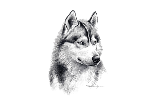 Mikiny s potlačou: Ako si vybrať správnu technológiu?