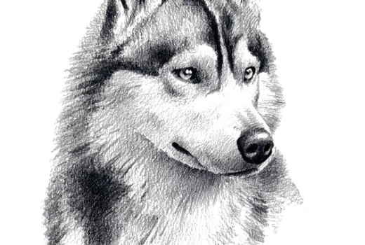 Mikiny s potlačou: Ako si vybrať správnu technológiu?