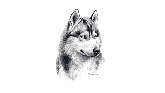 Mikiny s potlačou: Ako si vybrať správnu technológiu?