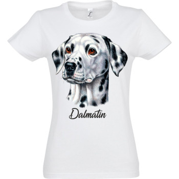 Dalmatín s menom.
