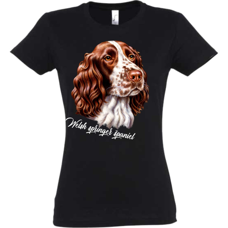 Welsh springel španiel s menom image