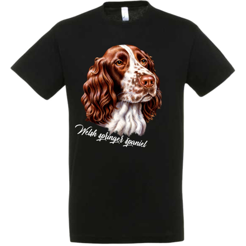 Welsh springel španiel s menom image